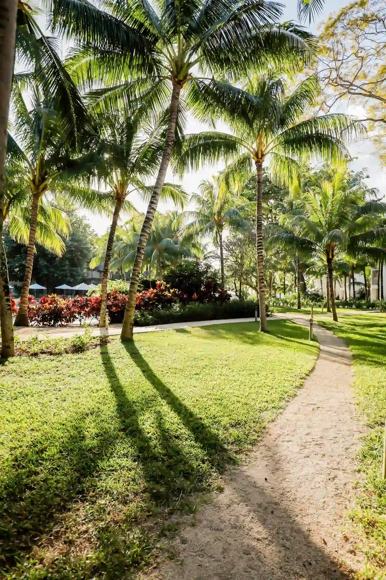 cannonier mauritius tropical gardens and lush landscaping