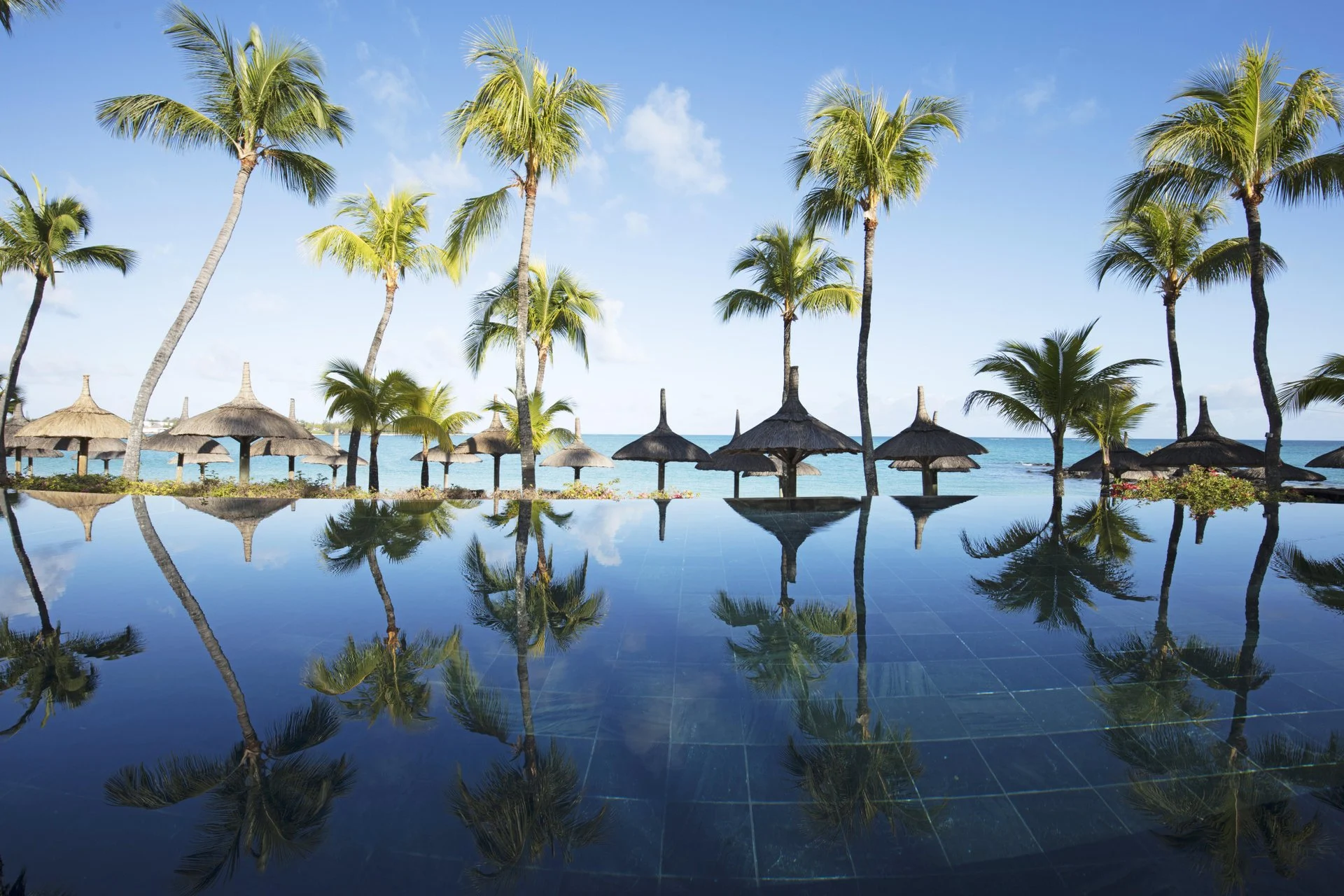 royal palm pool