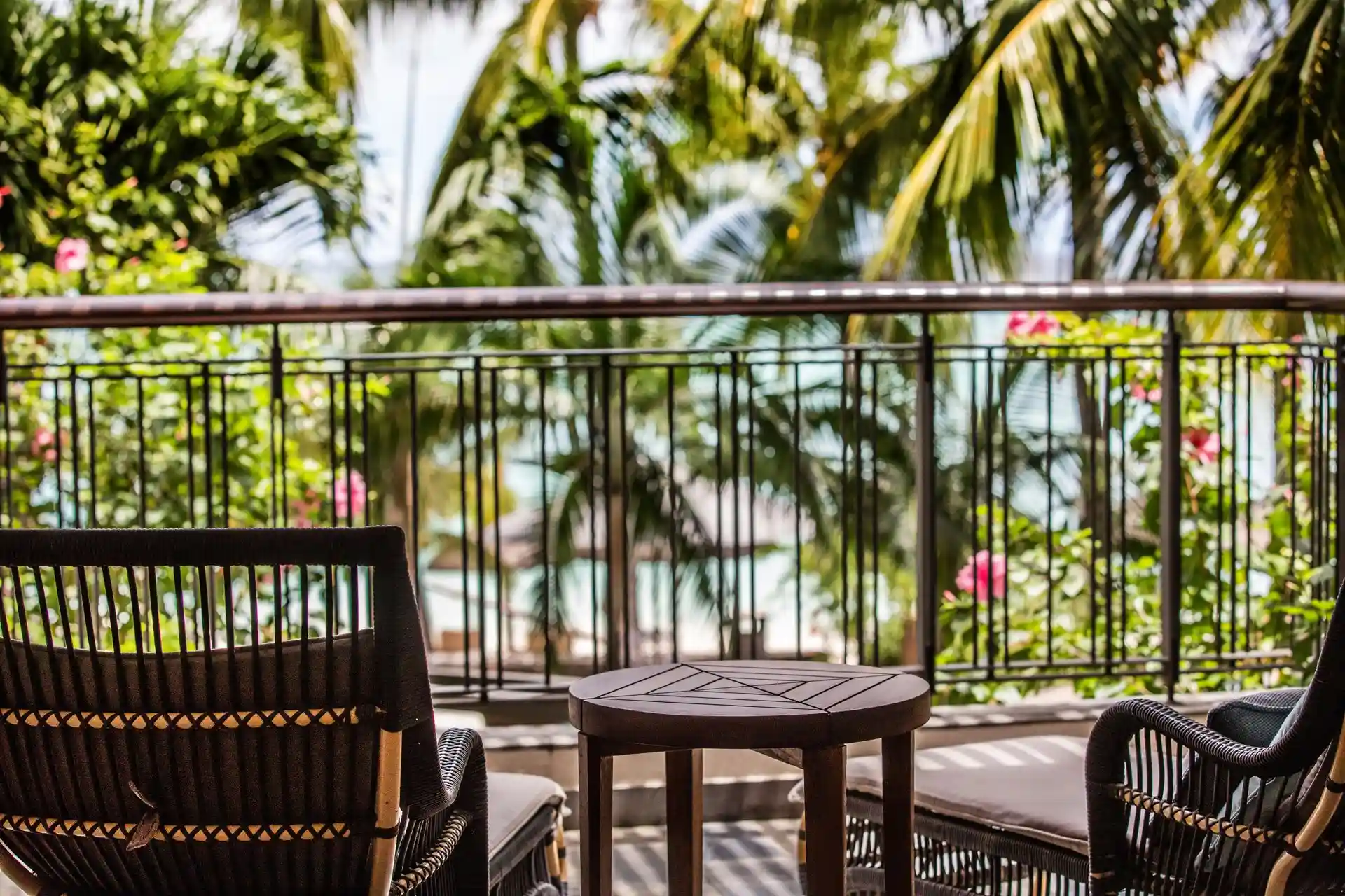 royal palm ocean suite view