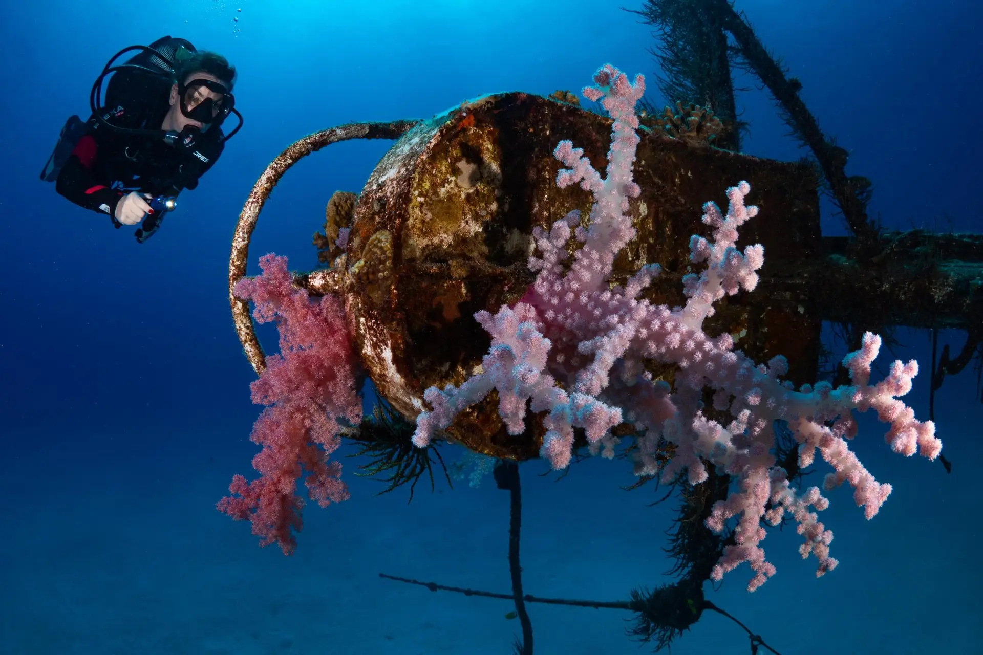 mauricia mauritius diving center with scuba and snorkeling activities in clear turquoise waters