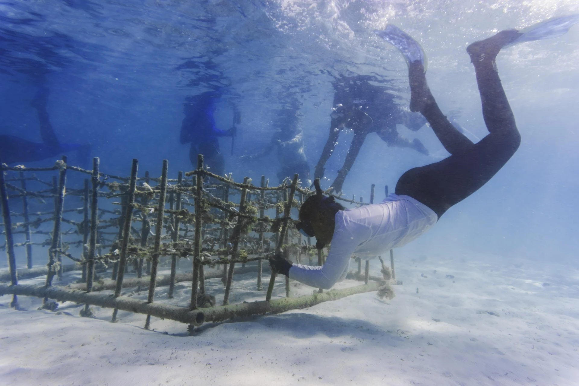 paradis mauritius resort coral garden and tropical landscaping