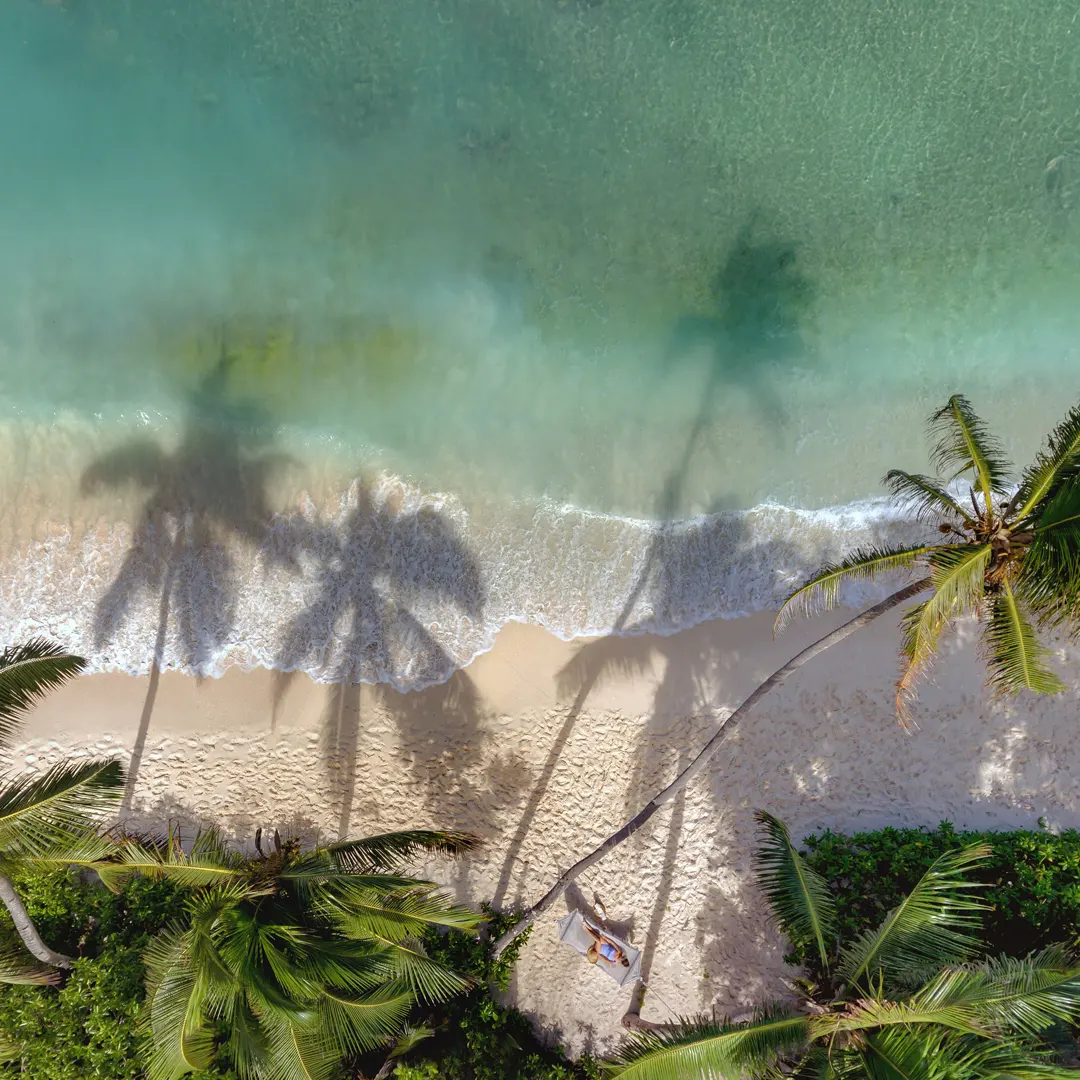 seychelles brochure image with tropical beach, clear turquoise water, and palm trees