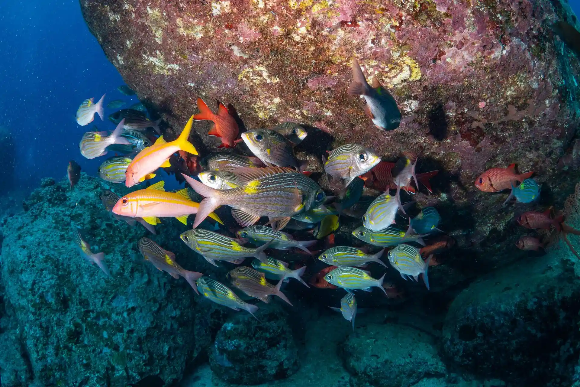 shandrani mauritius scuba diving water sports hotel ocean activity