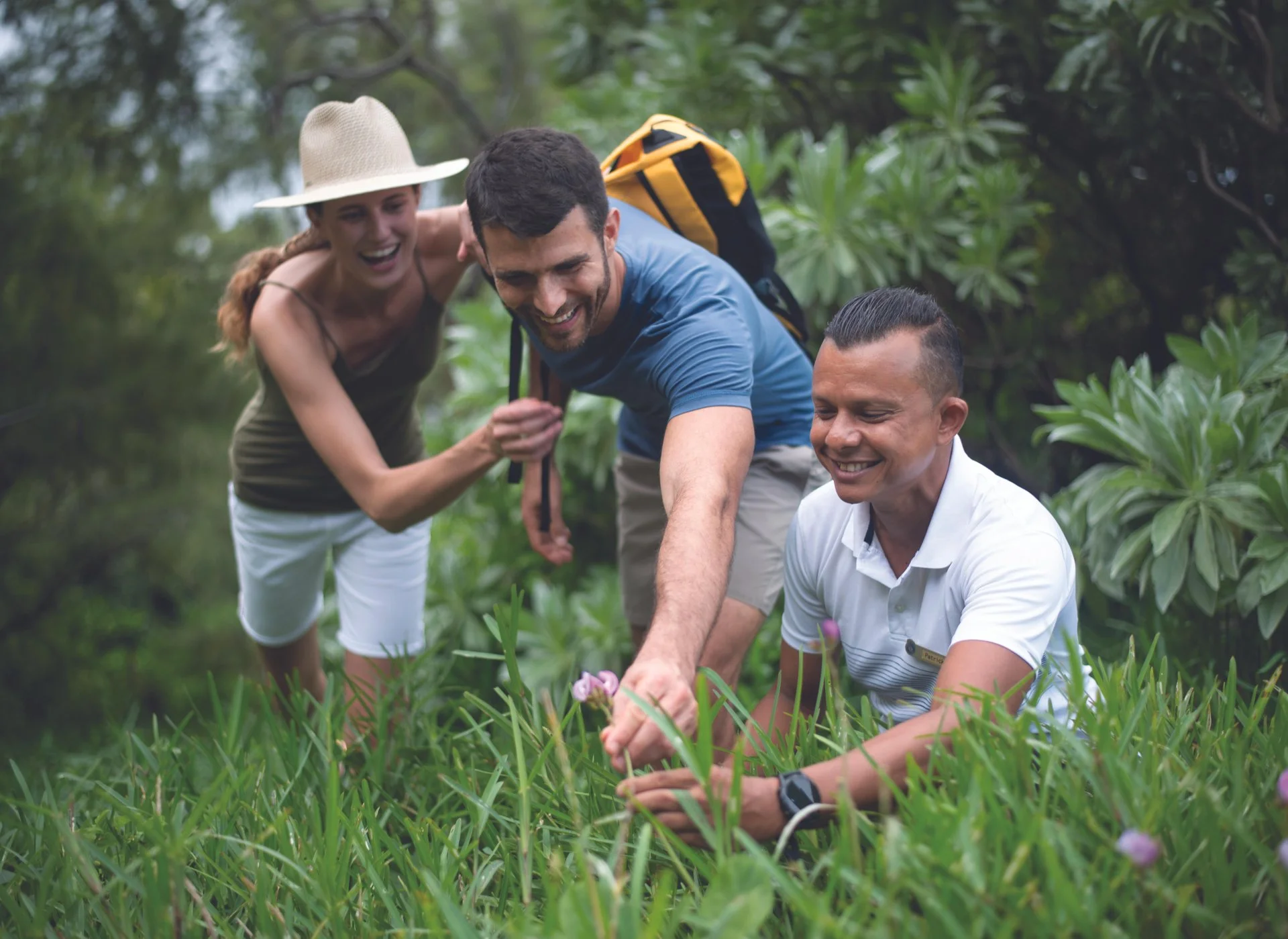 tropical nature at shandrani beachcomber resort and spa with lush greenery, palm trees, and coastal views of the indian ocean