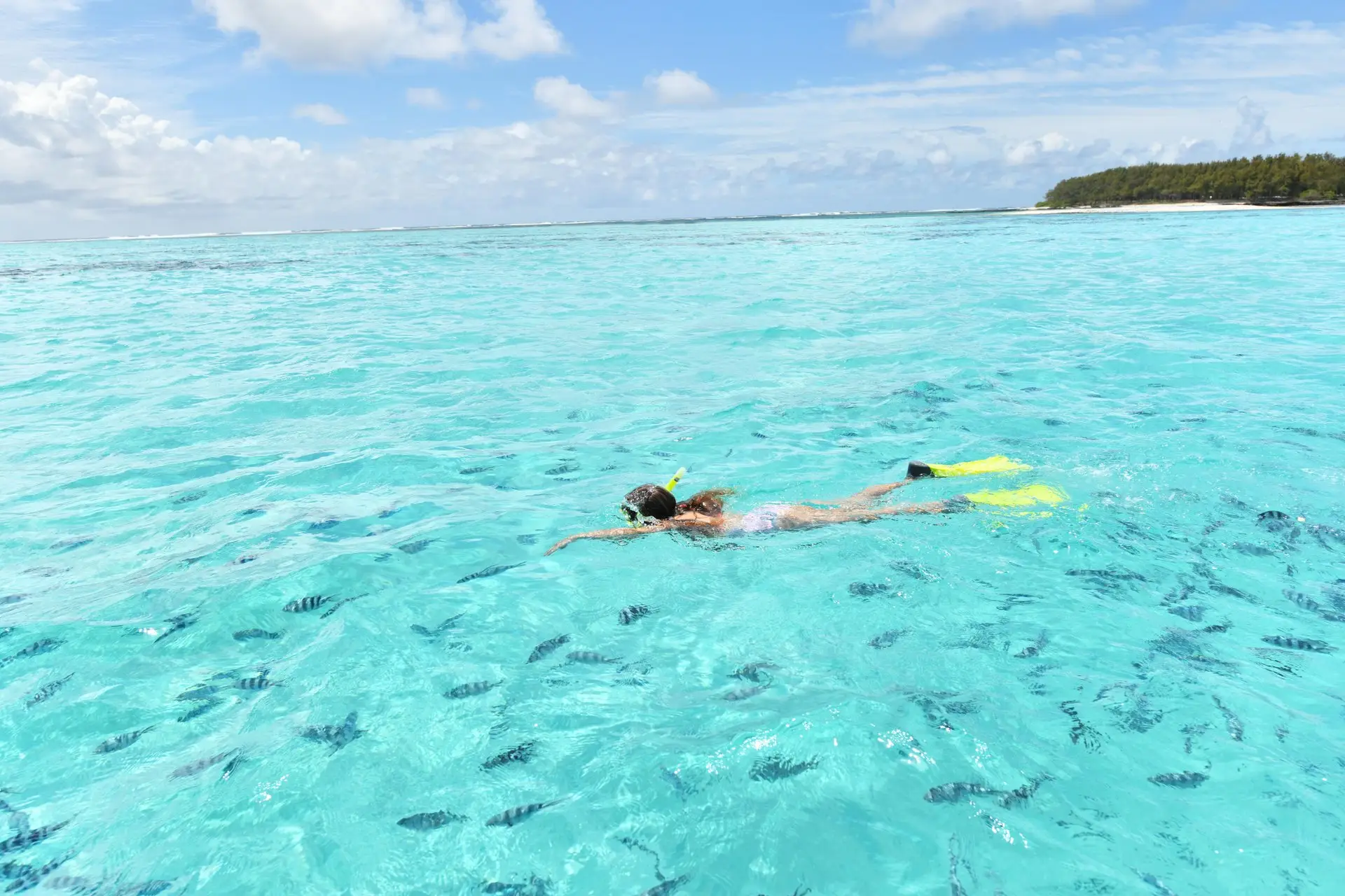 snorkelling at shandrani beachcomber resort and spa with colourful coral reef and tropical fish in clear turquoise waters