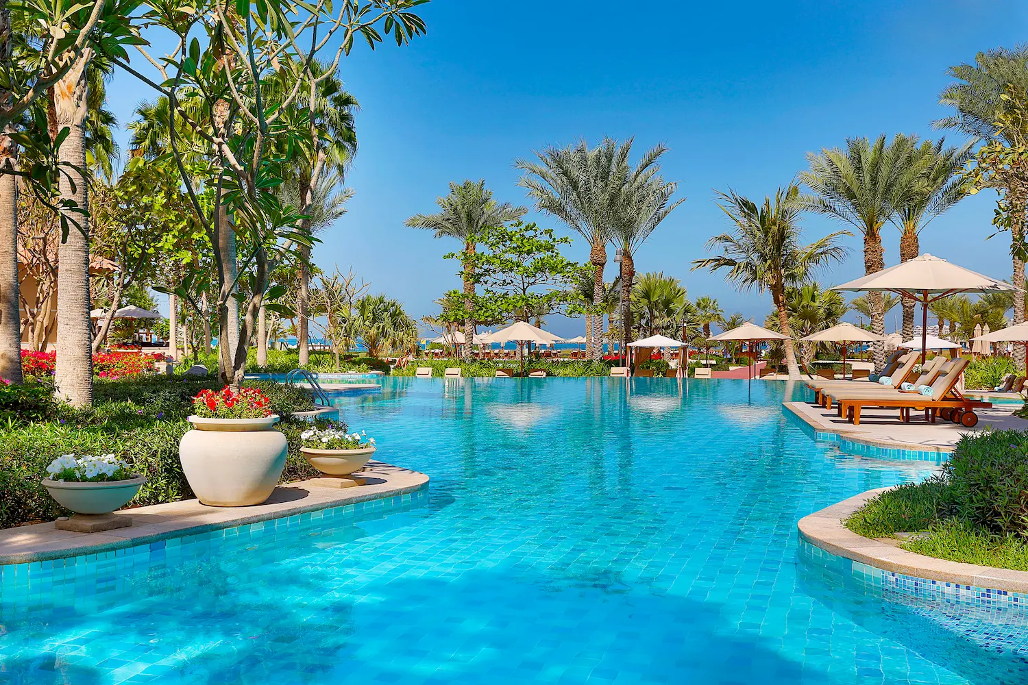 shorooq pool view at the ritz-carlton dubai jbr featuring sun loungers, landscaped gardens, and serene swimming area at this luxury beachfront hotel in dubai marina