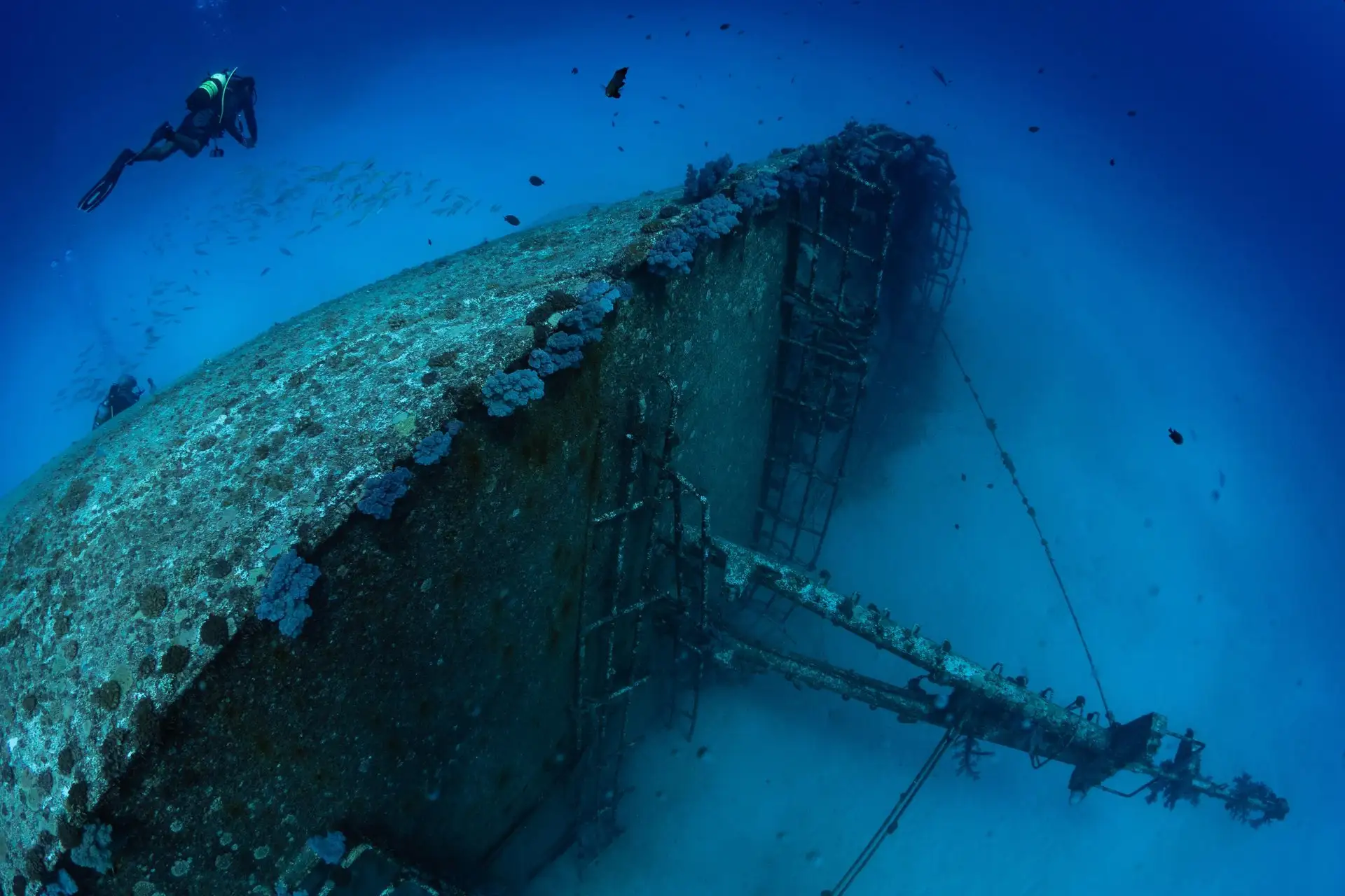 trou aux biches mauritius sea diving