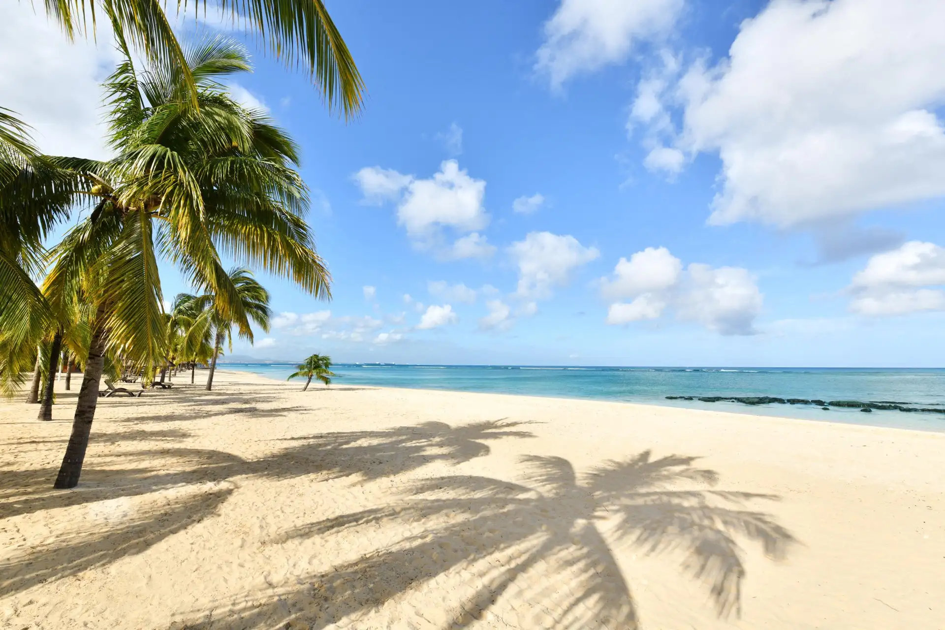 victoria mauritius beach sandy shore ocean view tropical scenery