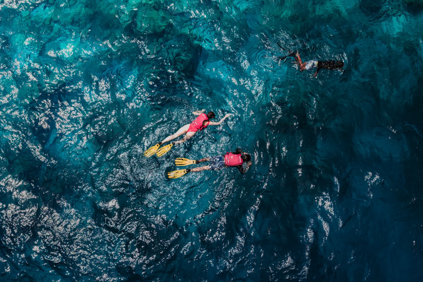 snorkeling guided tour adventure at adaaran select hudhuranfushi maldives