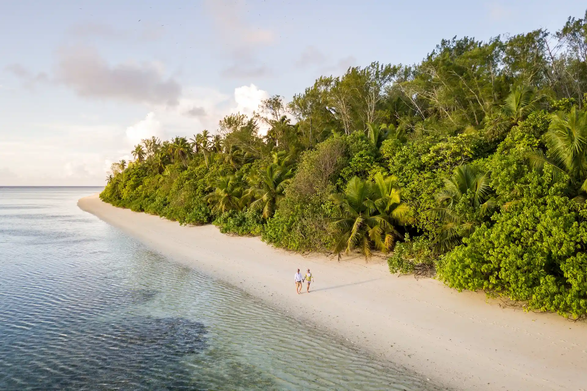 alphonse island seychelles beach view with pristine white sand turquoise lagoon and swaying palm trees along the shoreline