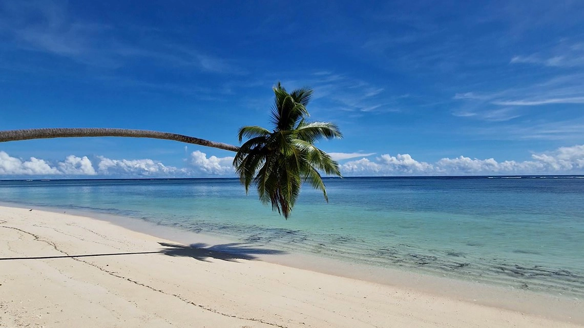alphonse island seychelles beach with white sand and clear turquoise water