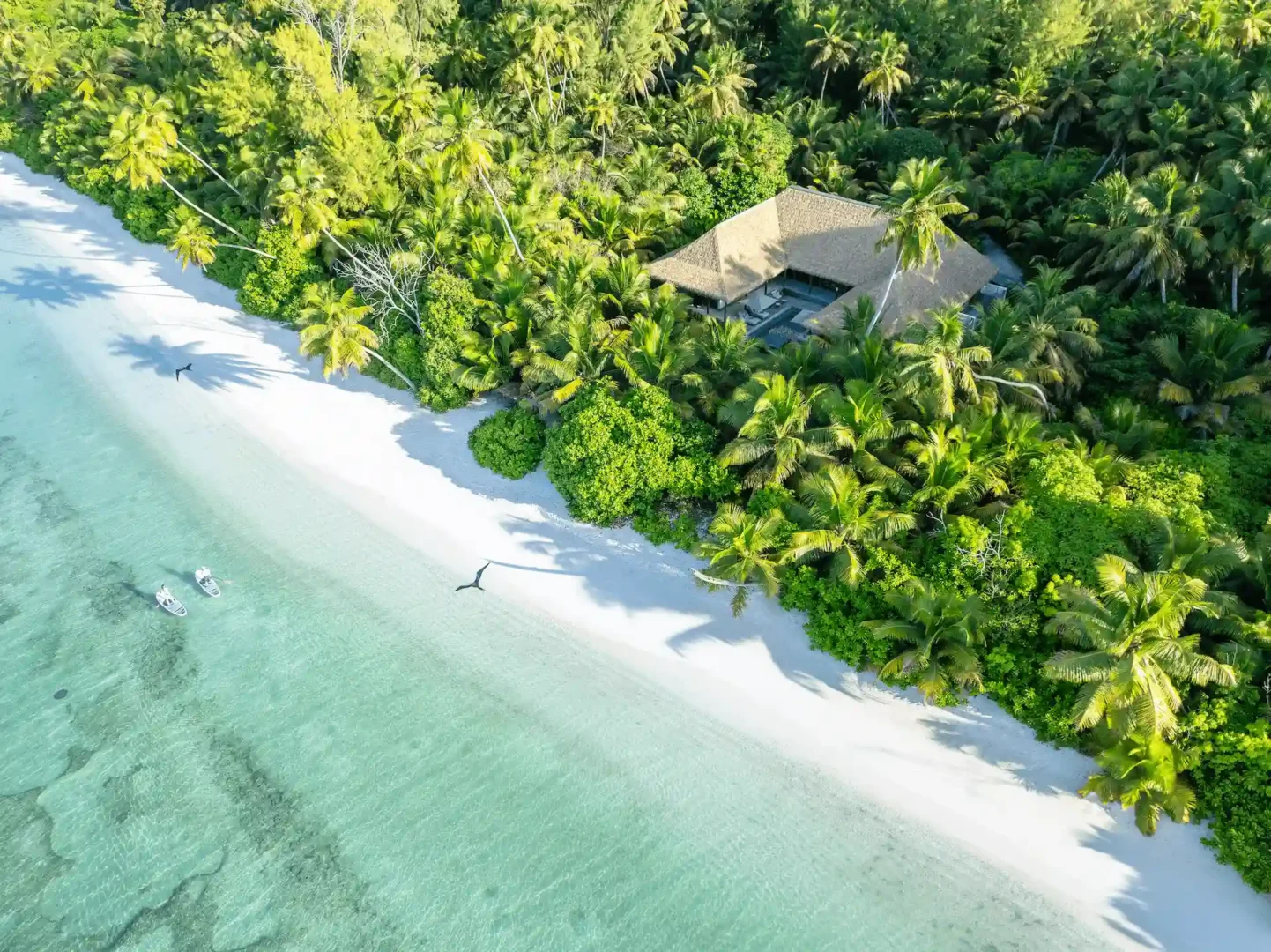 alphonse island seychelles the beach retreat with direct access to white sand beach, turquoise waters, and surrounding tropical gardens