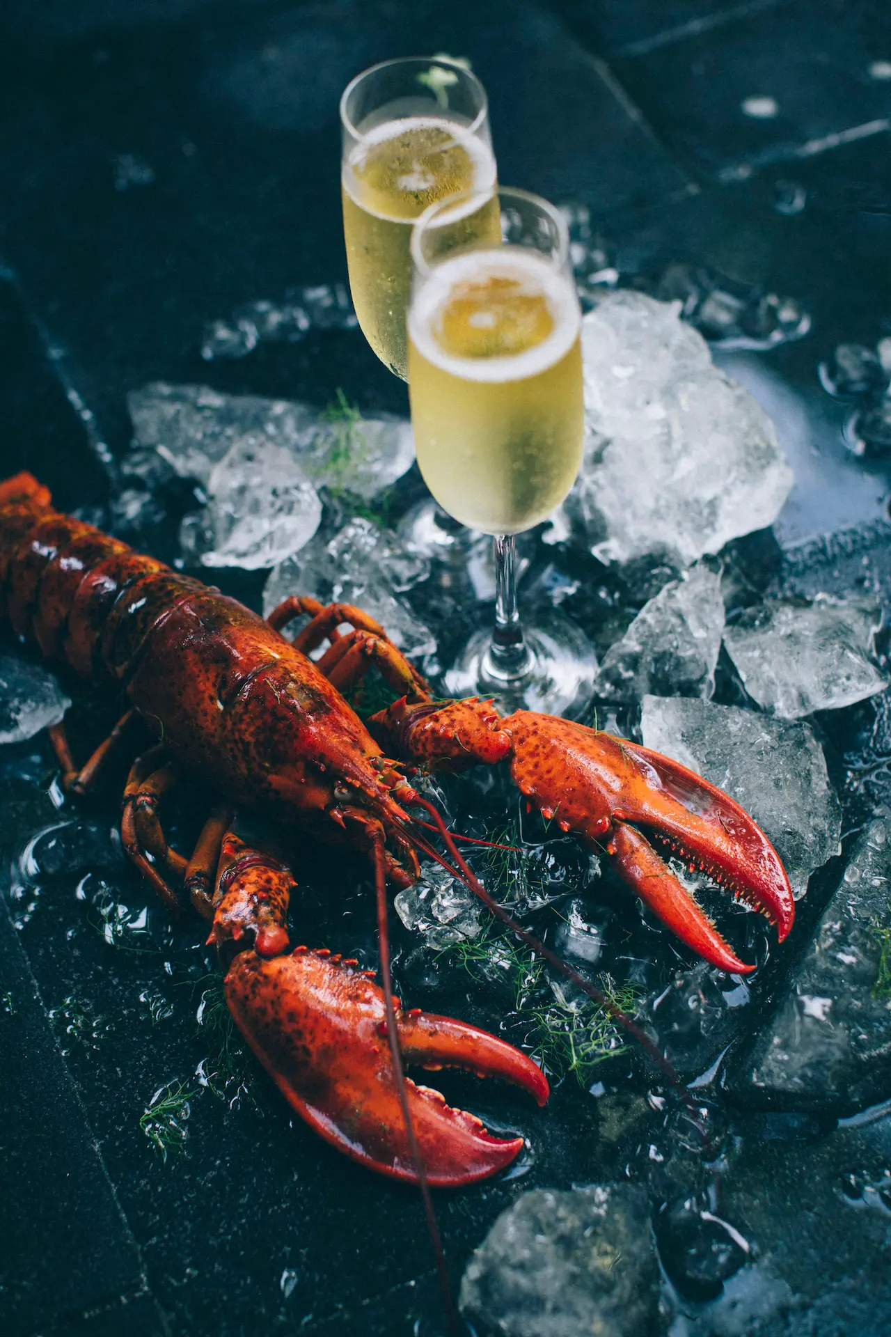 luxurious lobster and champagne dinner setting at anantara kihavah maldives villas presented with elegant island ambiance