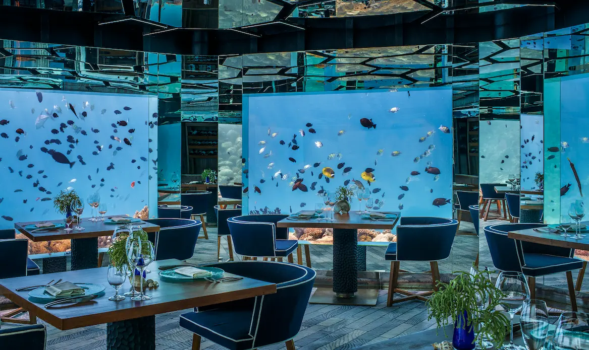 underwater dining interior at anantara kihavah maldives villas sea restaurant surrounded by vibrant marine views