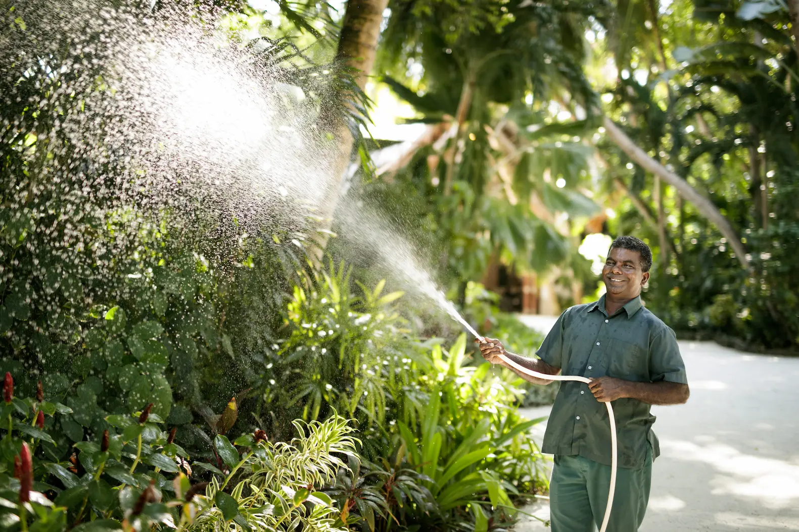 nature nurturing experience at baros maldives surrounded by calm tropical greenery and soothing island ambience