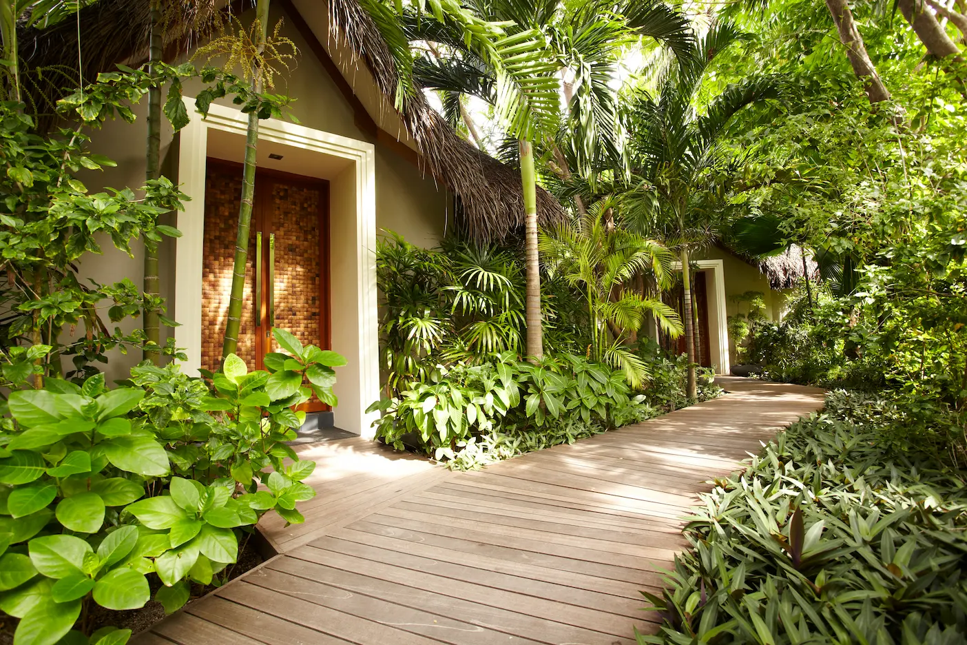 serenity spa at baros maldives offering tranquil island wellness surrounded by natural greenery