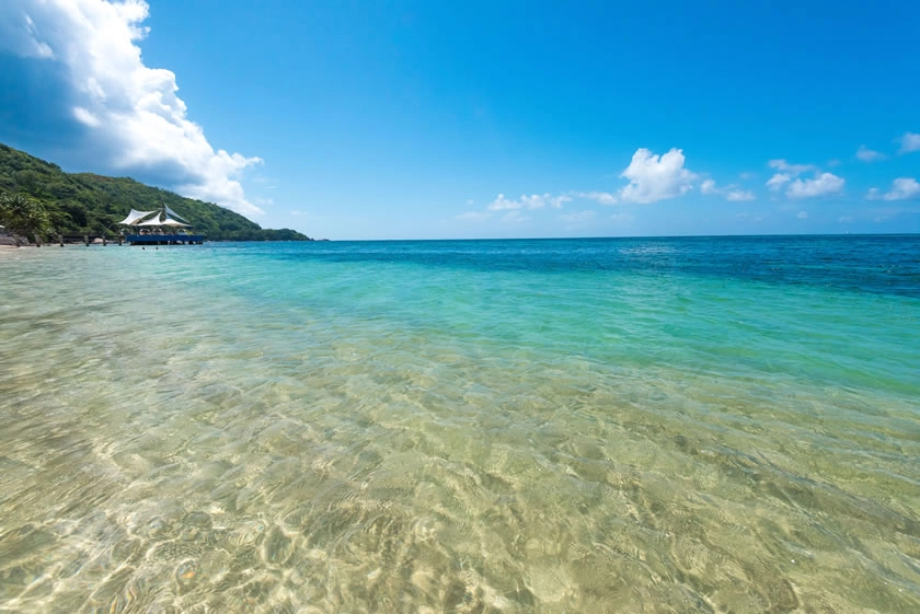 coco de mer seychelles diving with vibrant coral reefs, tropical fish, and clear turquoise waters