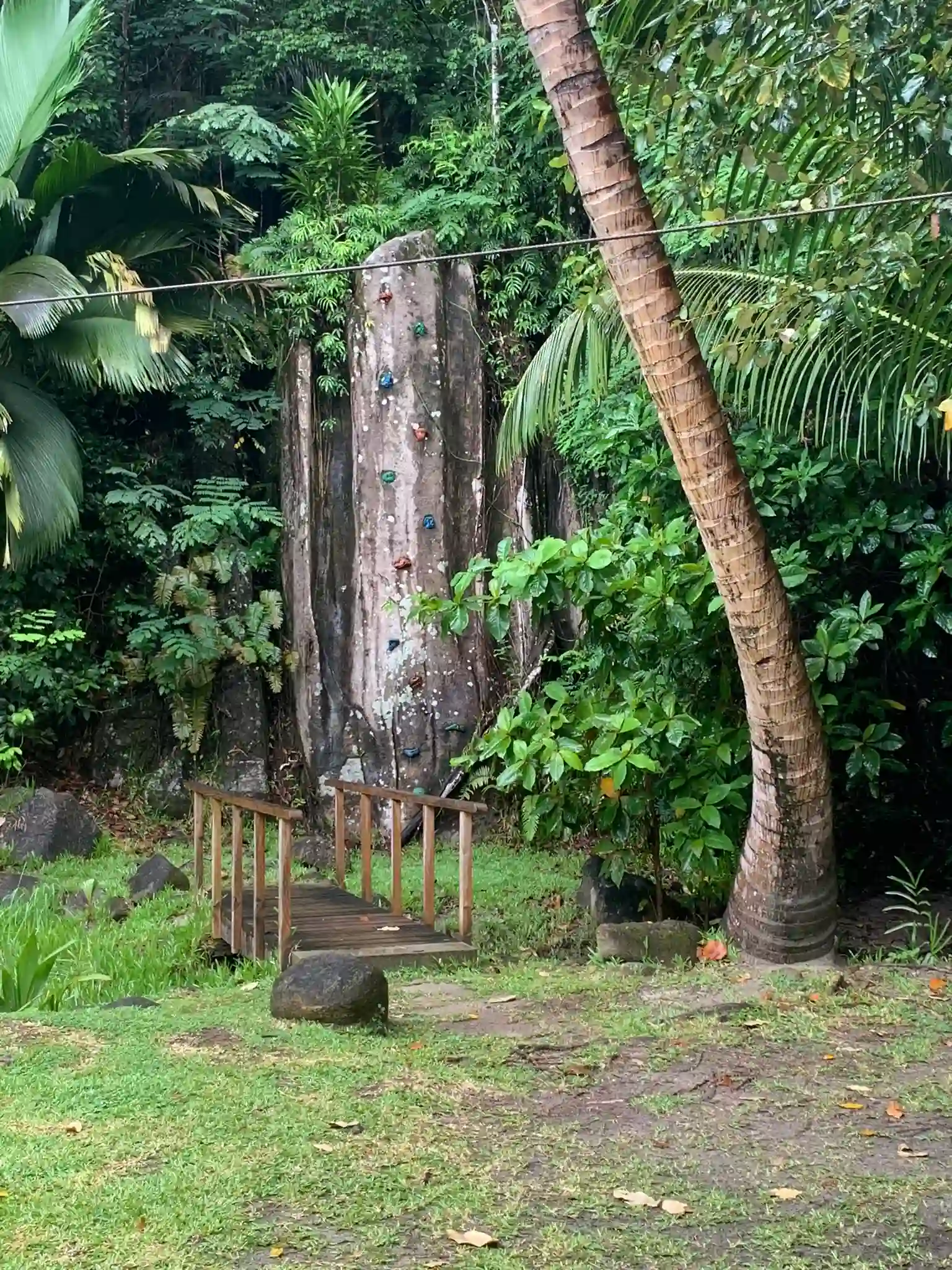 constance ephelia seychelles kids climbing wall activity