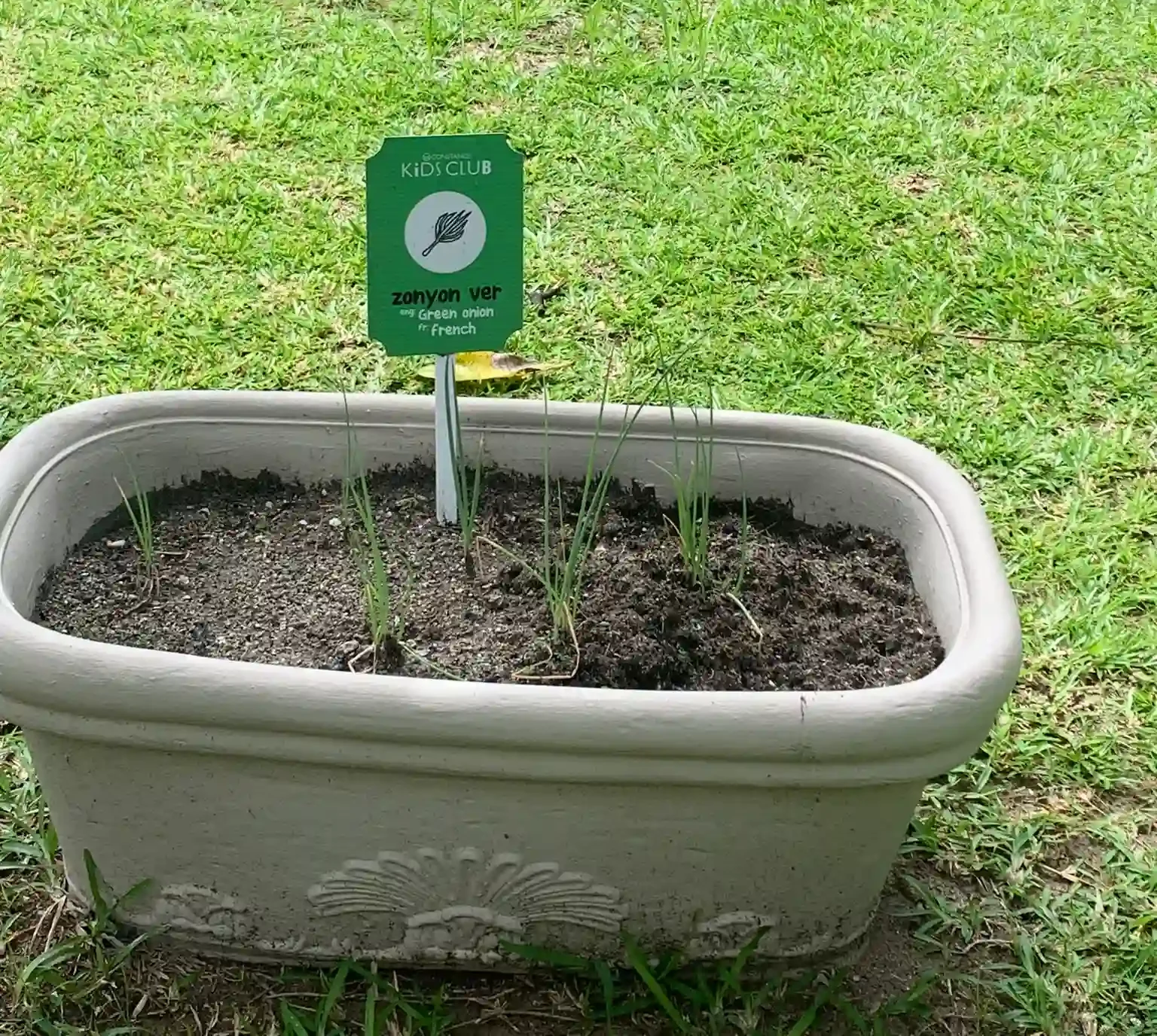 constance ephelia seychelles kids club children gardening activity