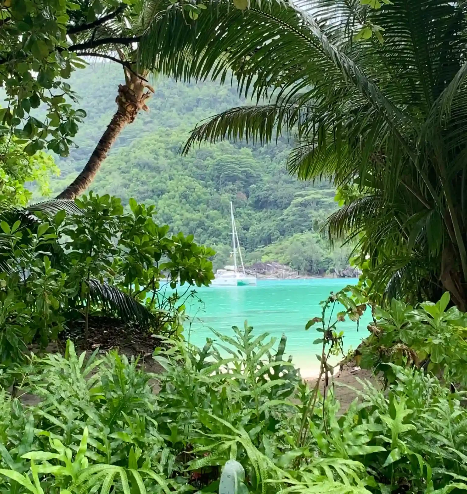 constance ephelia seychelles suite with panoramic sea view