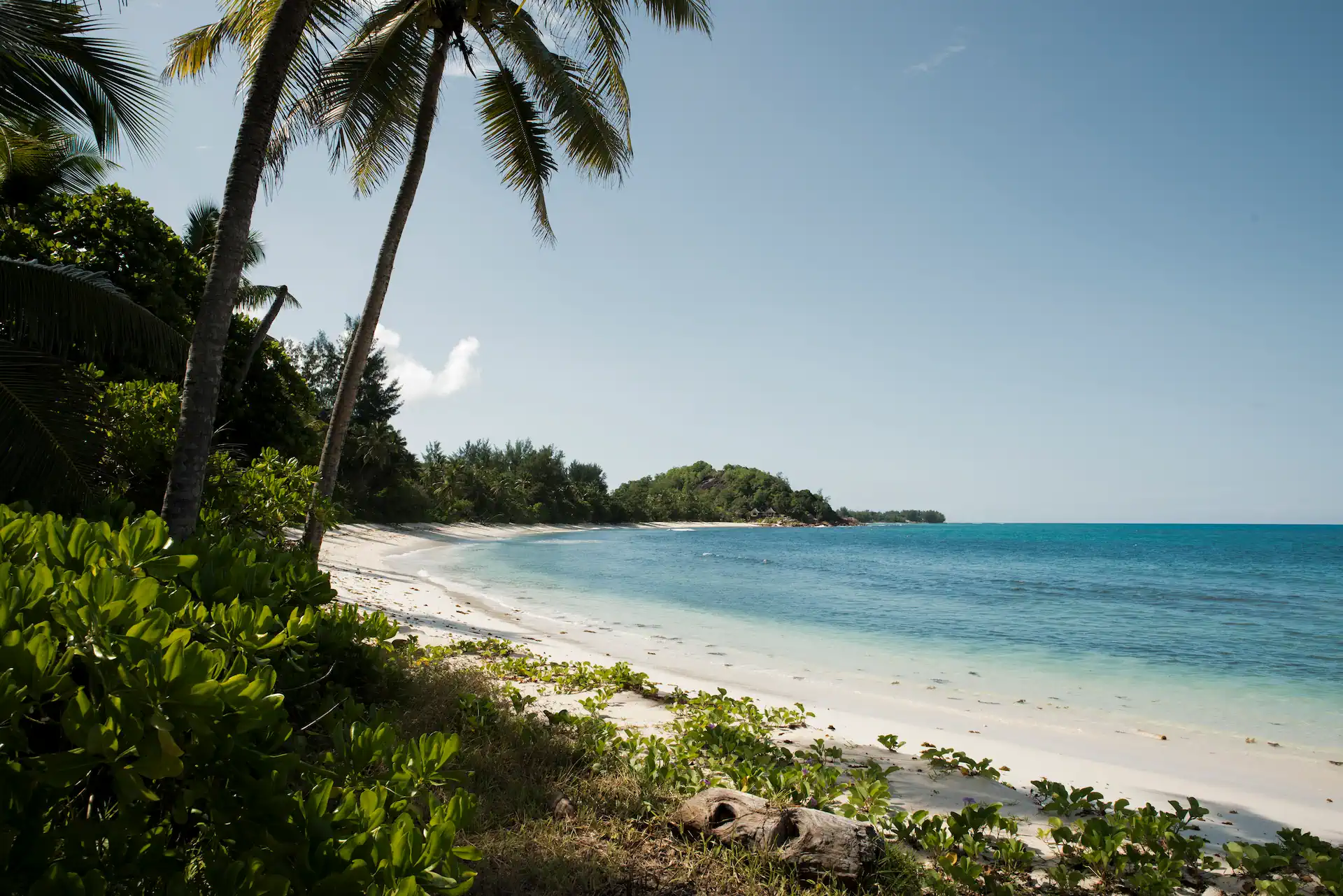 constance lemuria seychelles beach cove with white sand and turquoise water