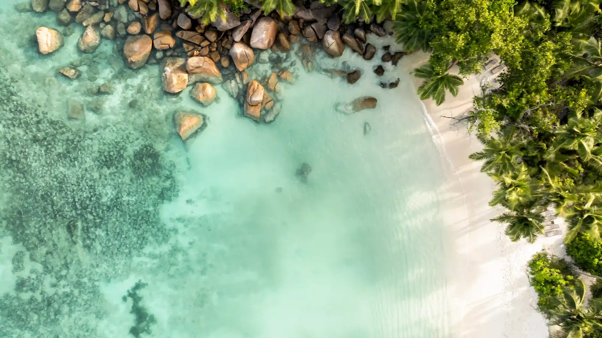 constance lemuria seychelles beach with white sand and turquoise ocean