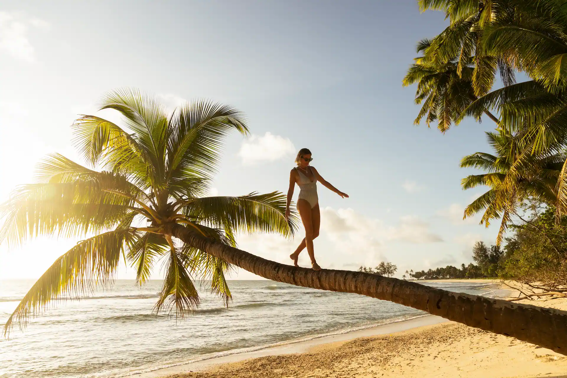 constance lemuria seychelles palm tree on sandy beach