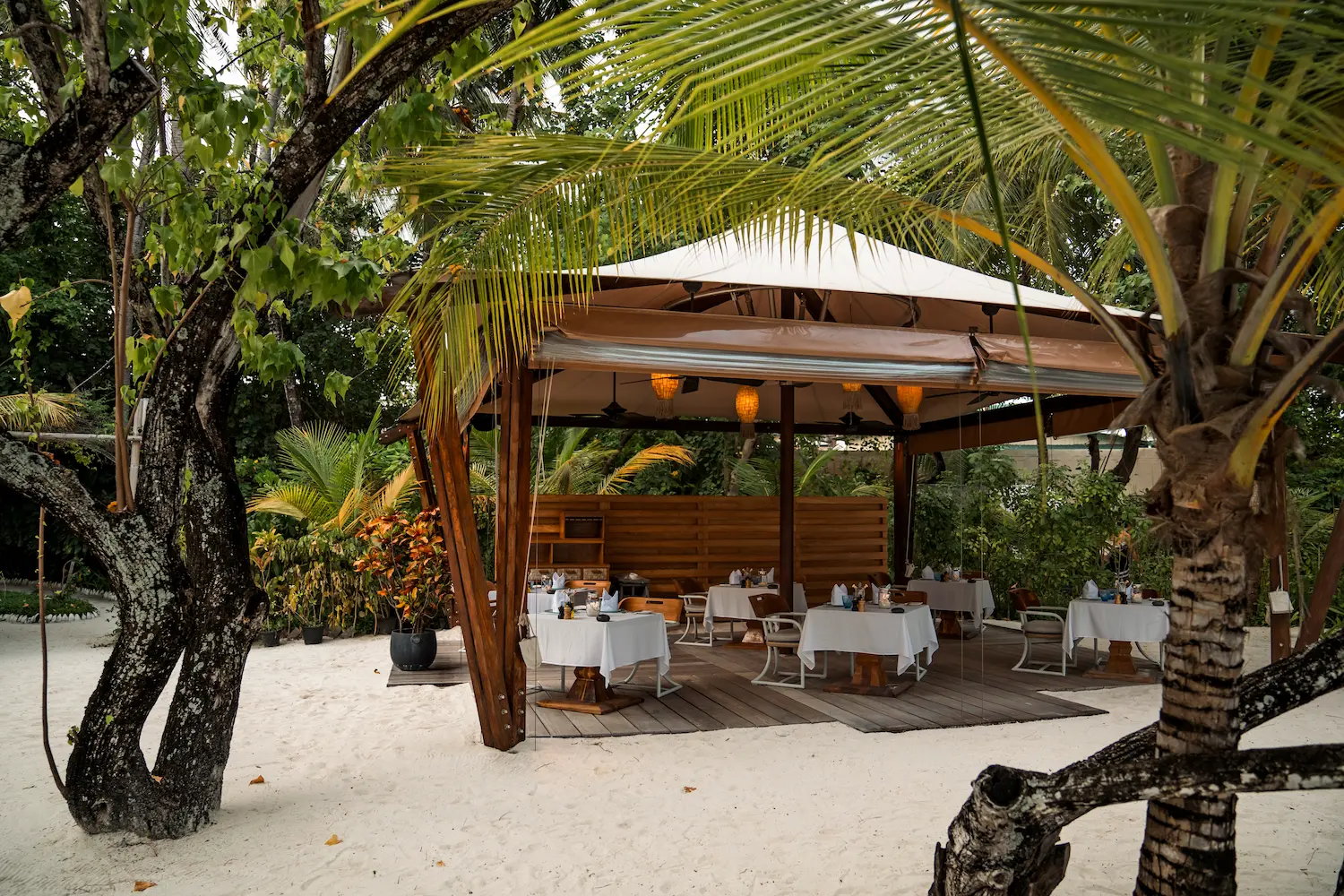alizee restaurant at constance moofushi maldives offering relaxed beachside dining