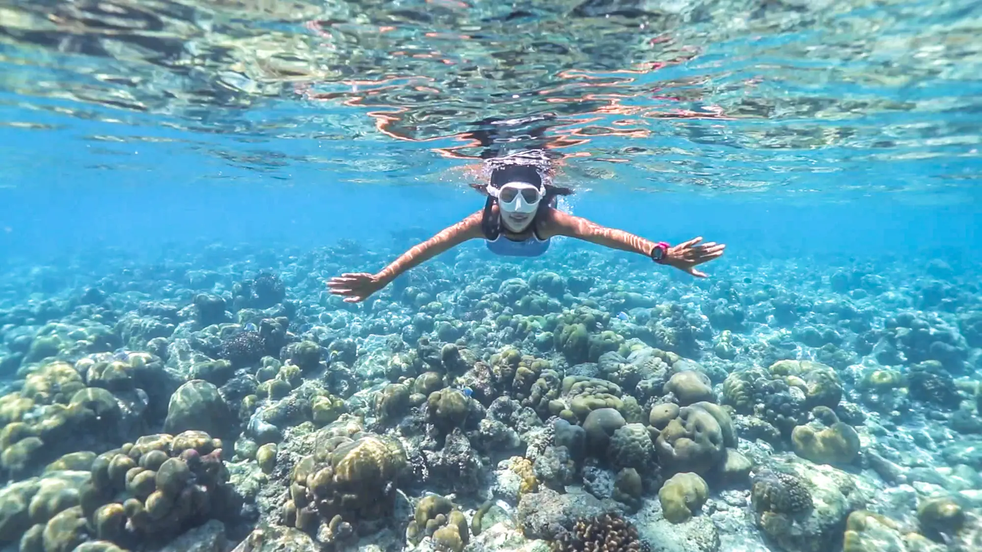 cora cora maldives snorkeling house reef with vibrant coral marine life and clear turquoise water perfect for immersive maldives underwater experiences