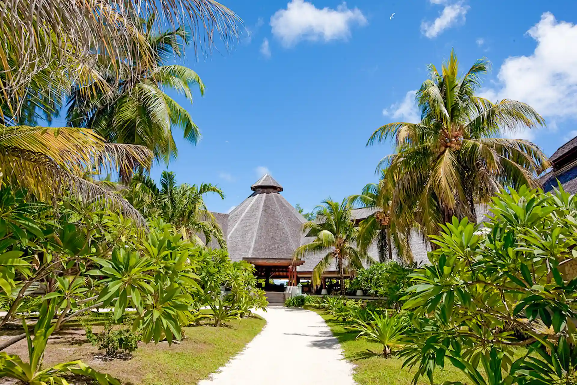 denis private island seychelles main building with tropical architecture, open-air design, and oceanfront views surrounded by lush greenery