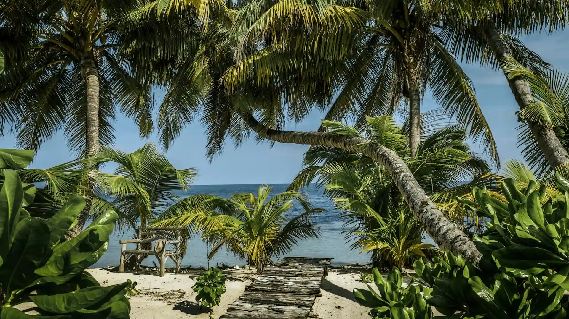 beach view from a beach pool villa at four seasons resort desroches seychelles with white sand and turquoise ocean