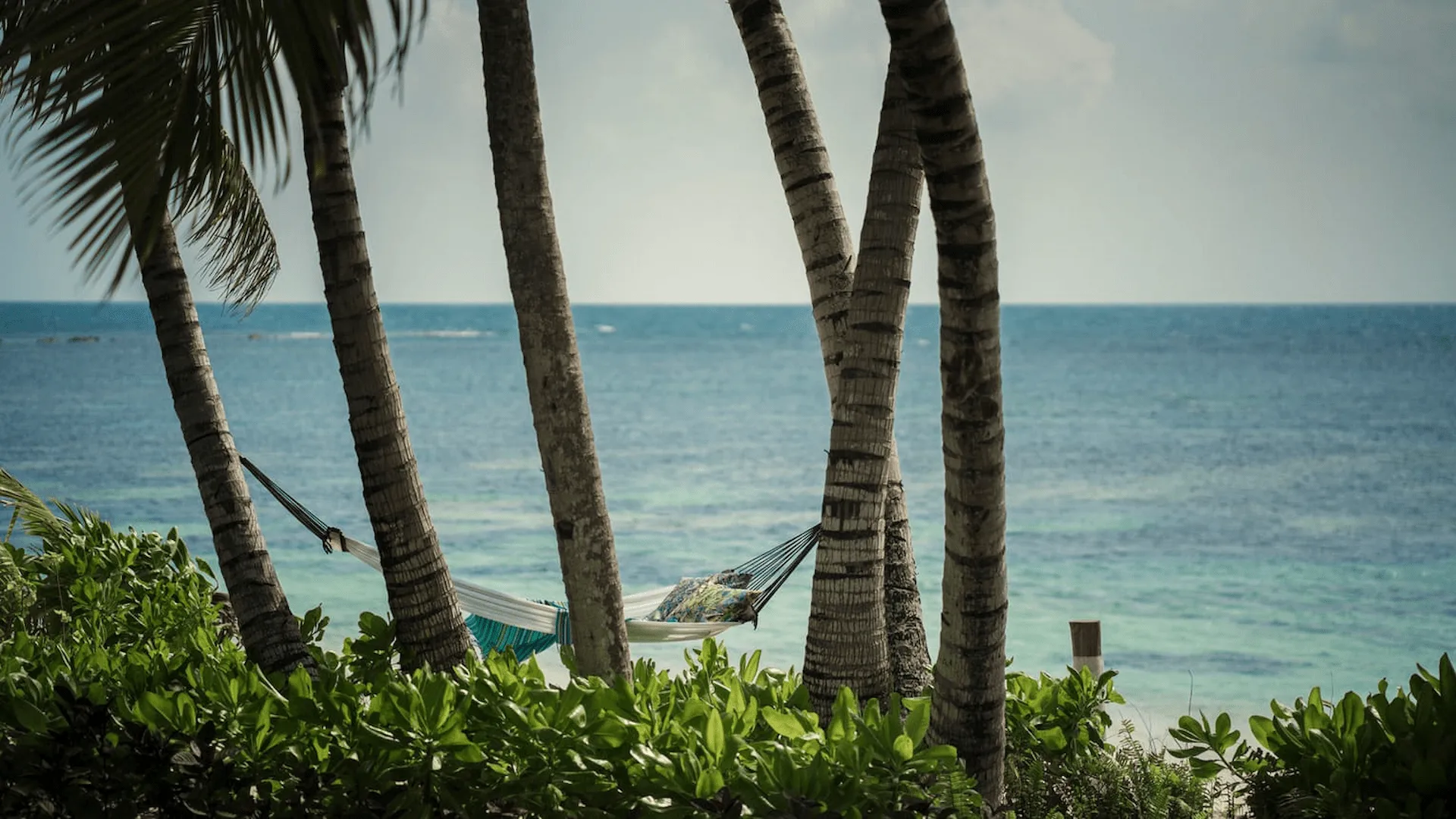 hammock outside a two bedroom sunset beach suite at four seasons resort desroches seychelles with tropical surroundings and ocean views