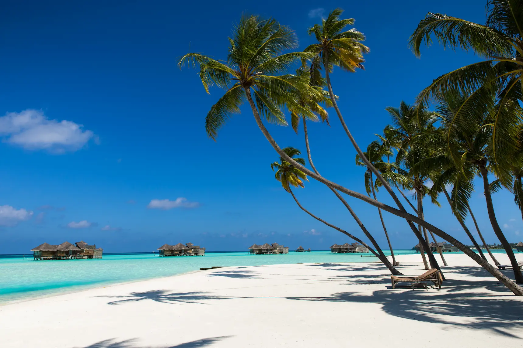 a serene palm beach setting at gili lankanfushi maldives with soft sand and calm lagoon views