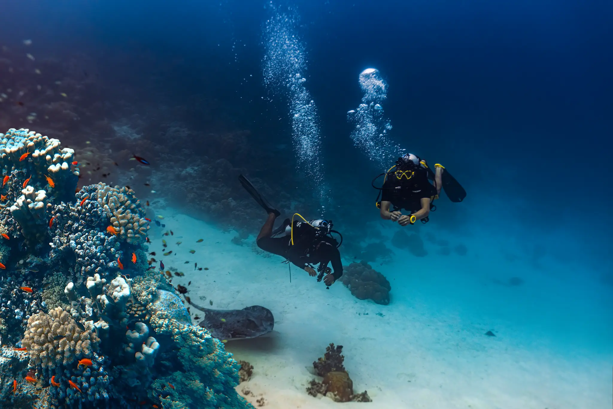 heritance aarah maldives diving showcasing an immersive underwater experience with vibrant coral formations and diverse marine life