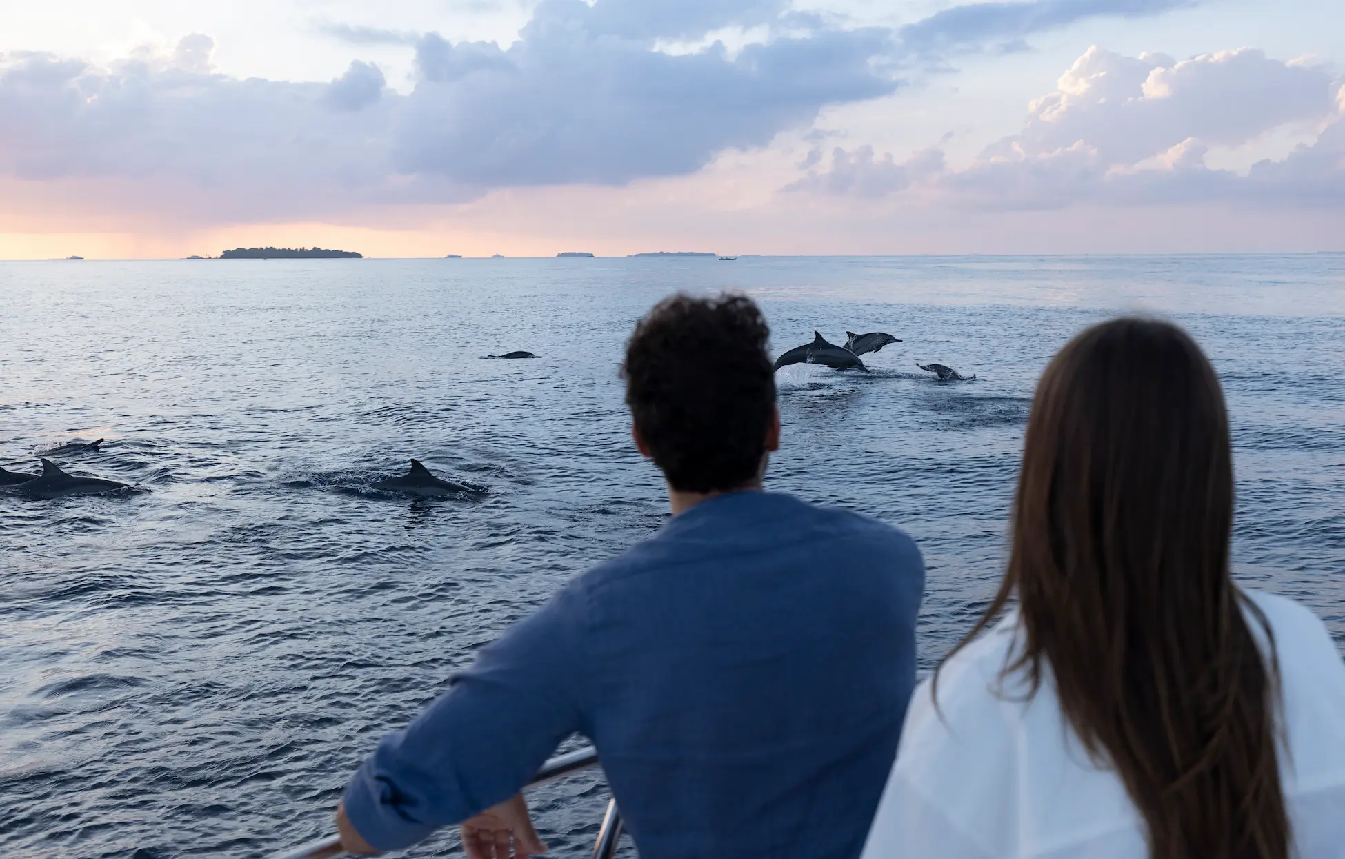 huvafen fushi maldives dolphins excursion offering a serene ocean adventure with playful marine life and breathtaking tropical horizons