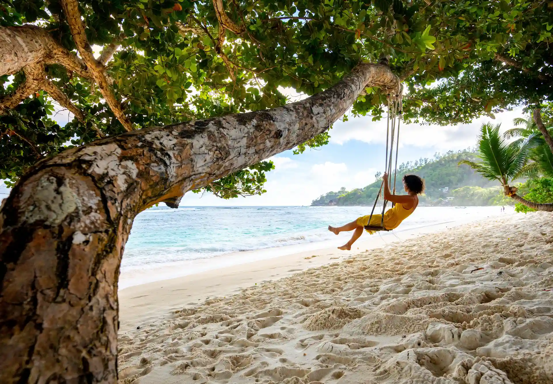 kempinski seychelles resort beach with wooden swing over sand