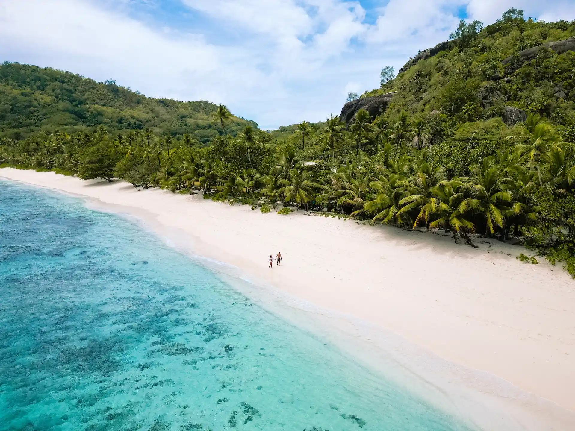 kempinski seychelles resort beach with white sand turquoise water and palm trees