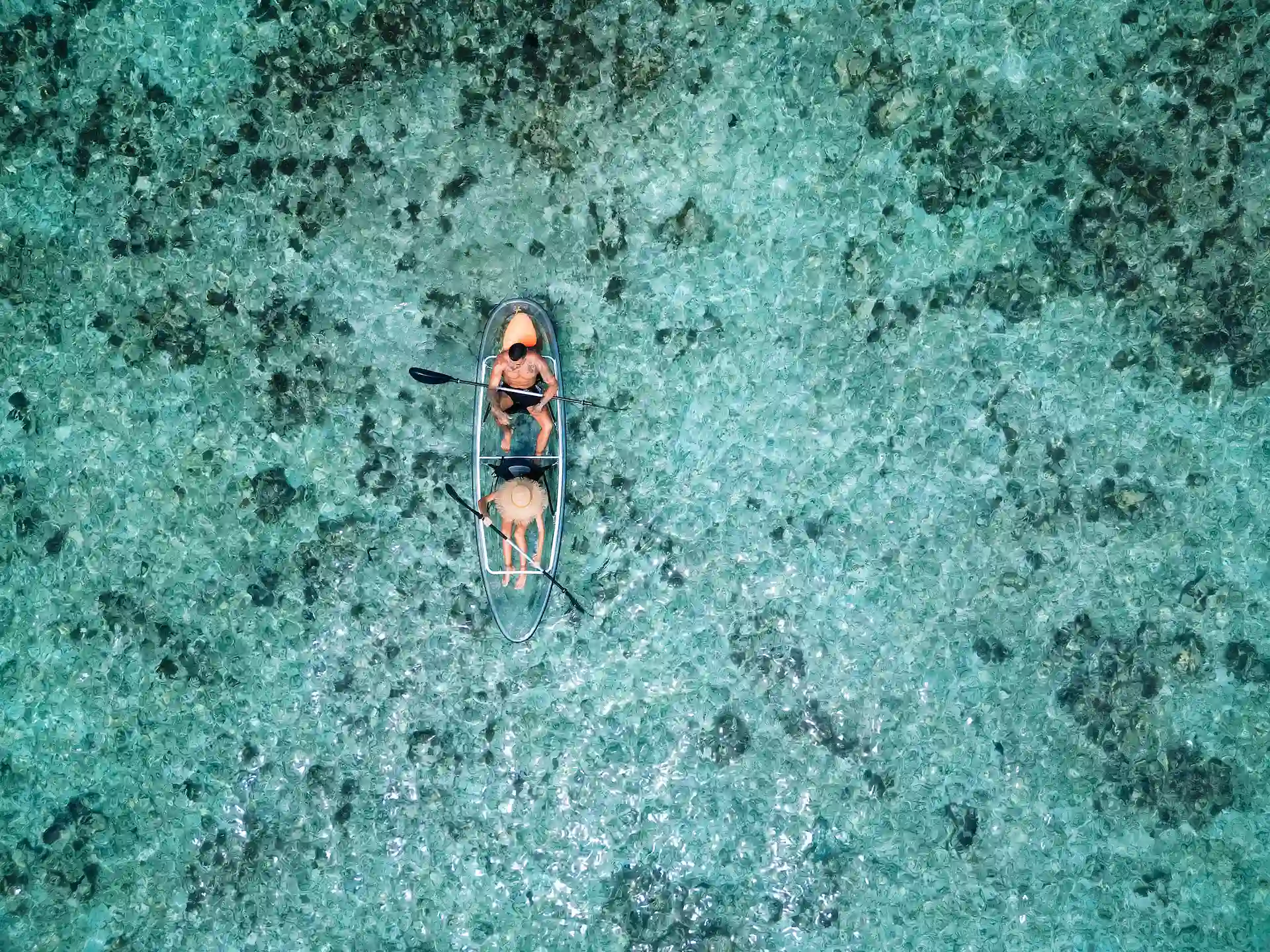 kempinski seychelles resort clear kayaks on turquoise water near beach