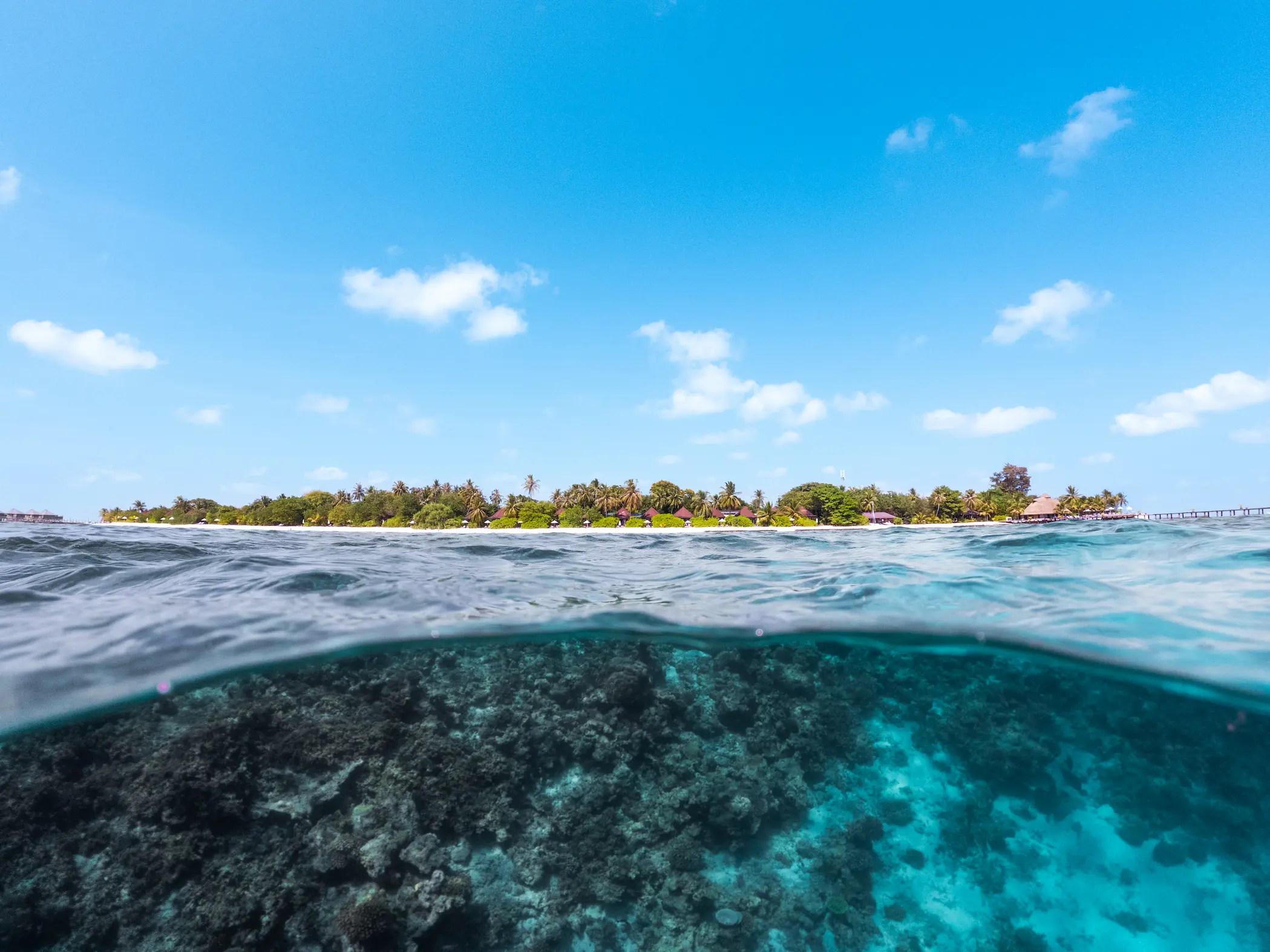 komandoo maldives house reef showcasing vibrant marine life and serene underwater island beauty