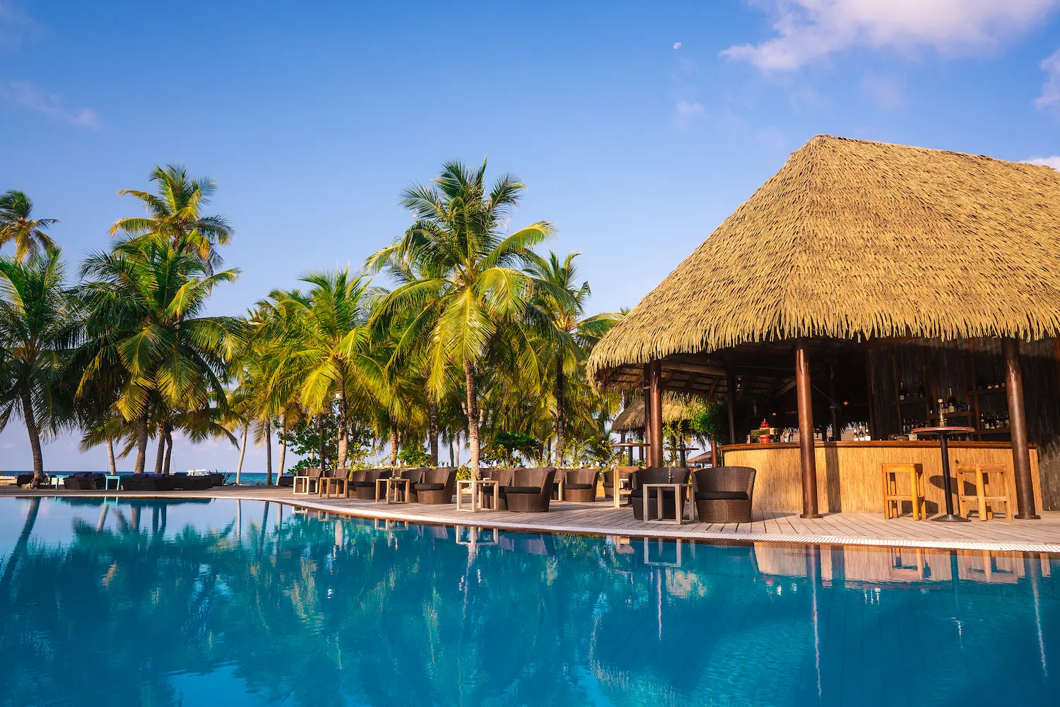 kuredu island resort & spa maldives pool bar