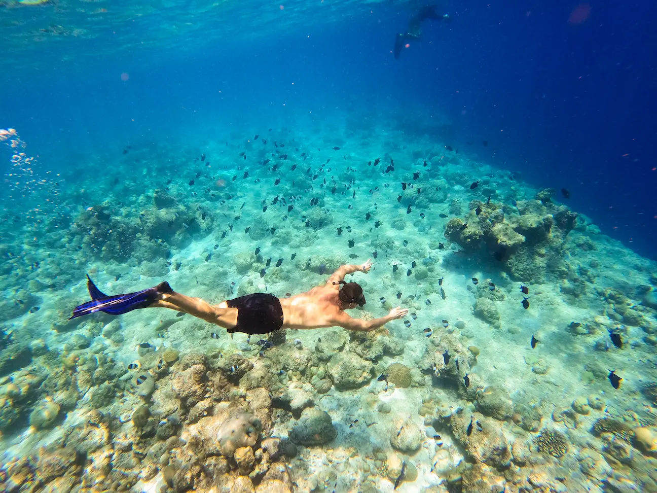 kuredu island resort & spa maldives snorkeling