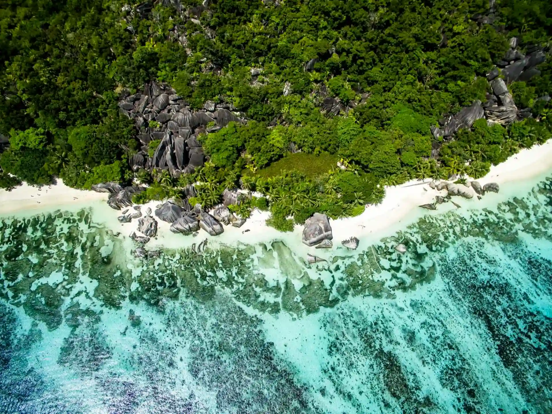 coastline near Le Domaine de L’Orangeraie Resort & Spa with rocky shore, clear turquoise waters, and tropical greenery