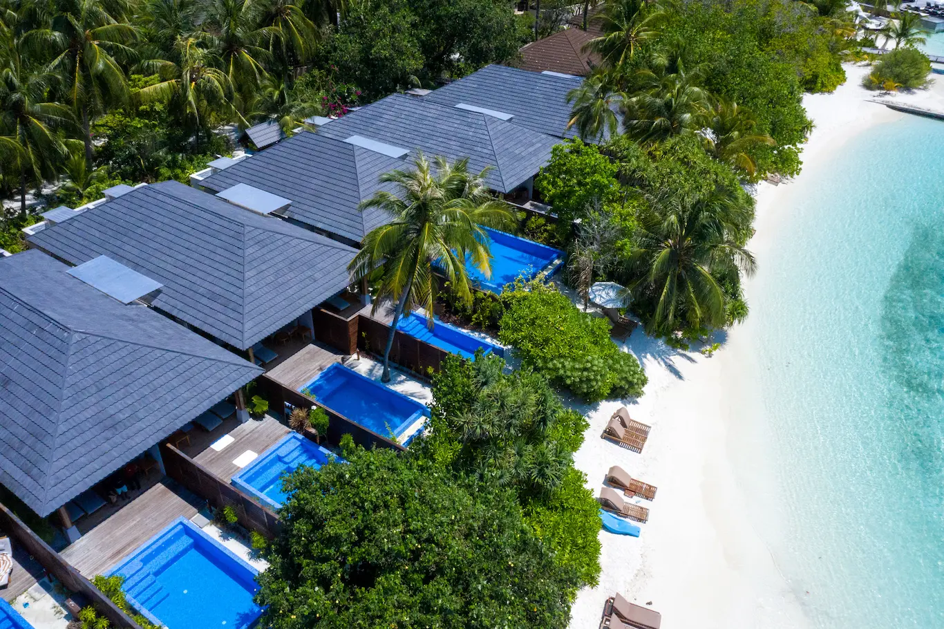 lily beach maldives beach suite with pool exterior set along the shoreline featuring elegant tropical architecture a private pool and serene ocean surroundings