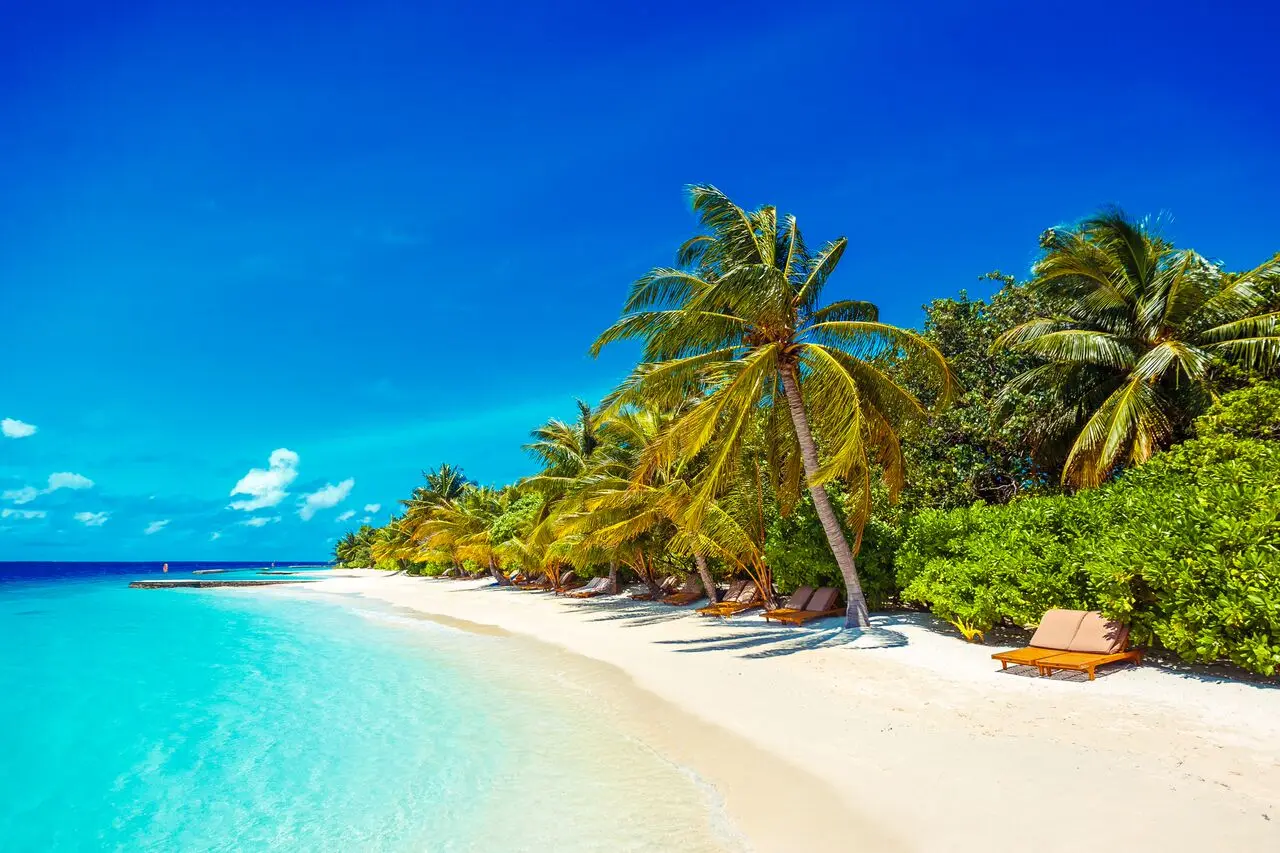 lily beach maldives beach villa beach with soft white sand clear turquoise water and a serene tropical shoreline