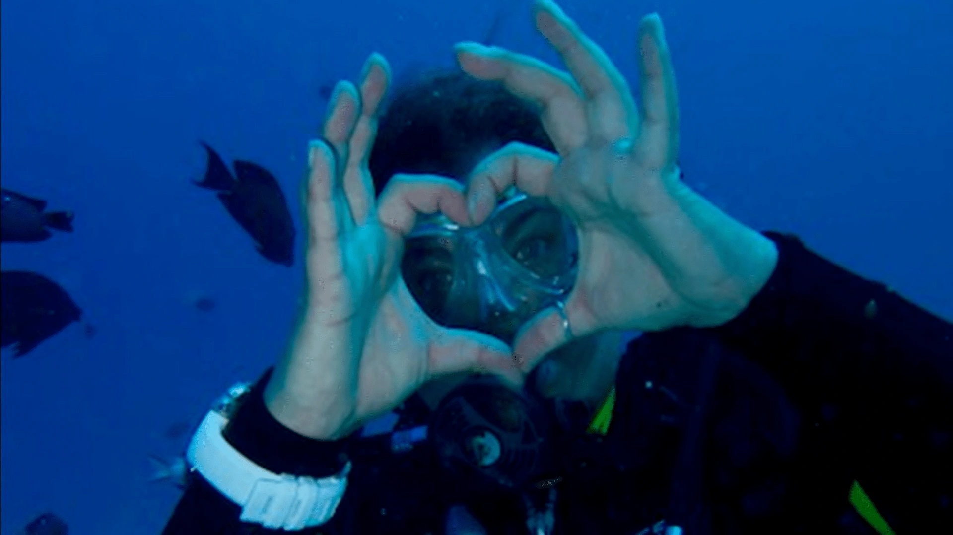 A scuba diver exploring vibrant coral reefs in clear blue waters off the coast of Mauritius