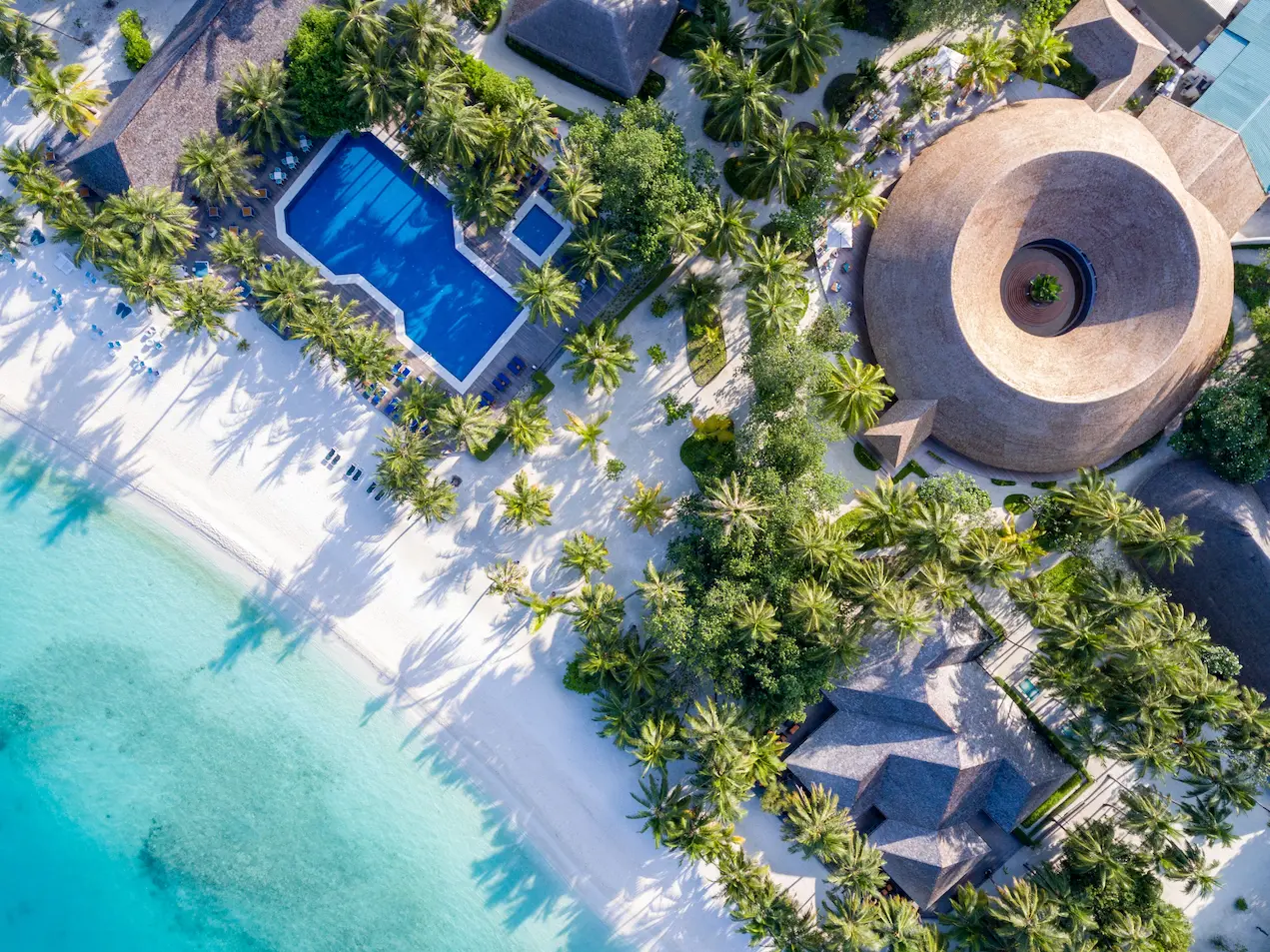 meeru maldives aerial pool view showing turquoise water lush tropical greenery and a serene beachfront setting that reflects the resort’s relaxed luxury atmosphere