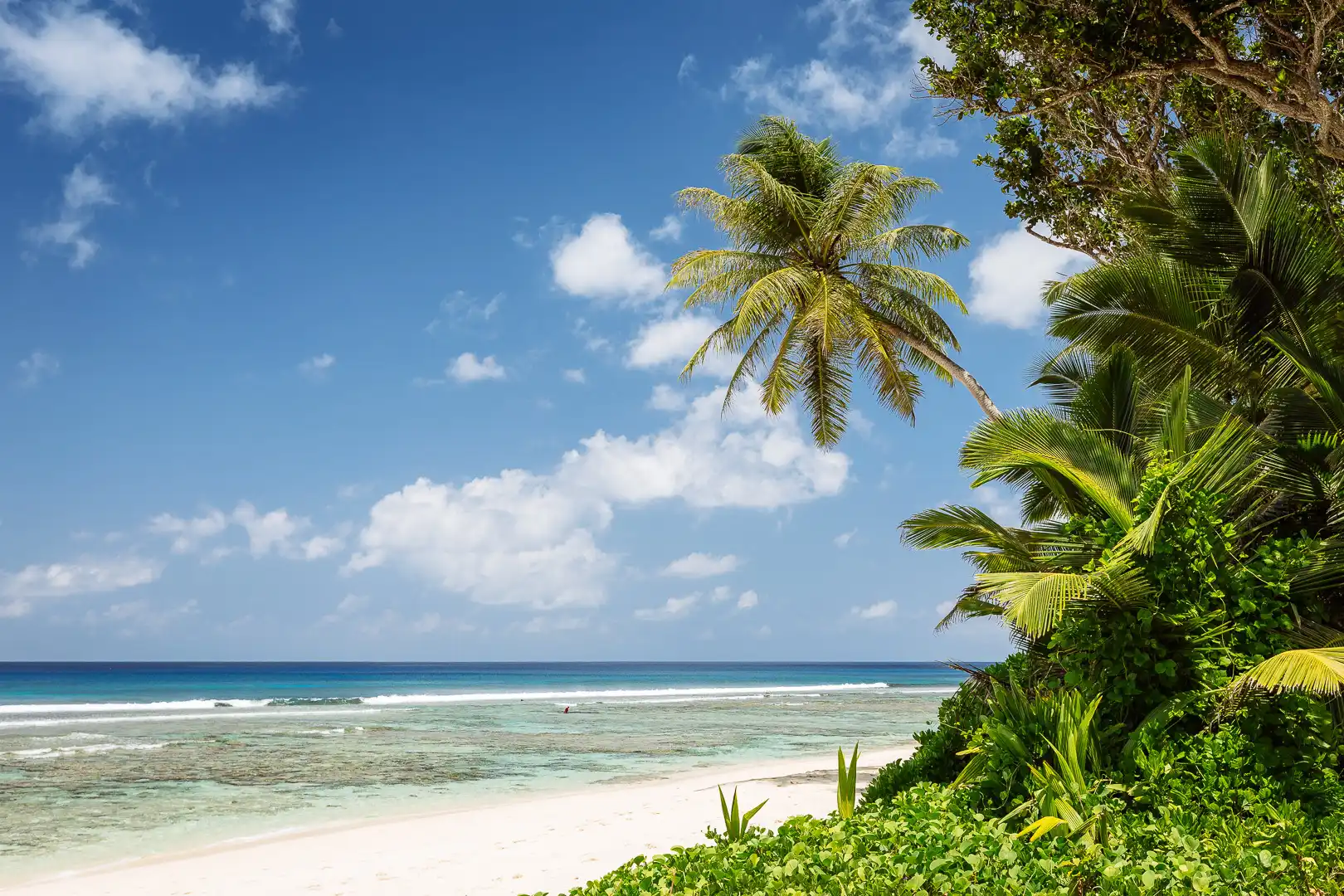 niva labriz seychelles beach with white sand and turquoise water surrounded by tropical greenery