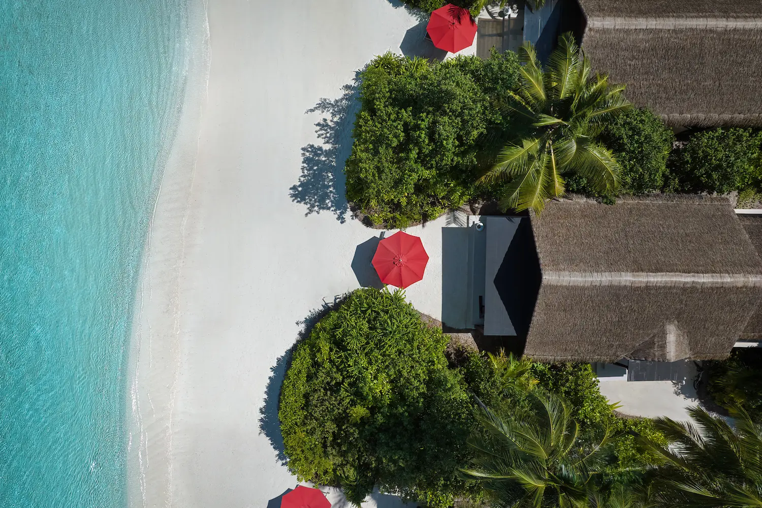 niyama private islands maldives deluxe beach villa beach front aerial capturing a serene coastline with tropical greenery white sand and a tranquil luxury setting from above