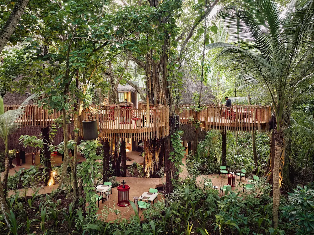 niyama private islands maldives nest restaurant overview showcasing elevated jungle dining and refined island ambiance