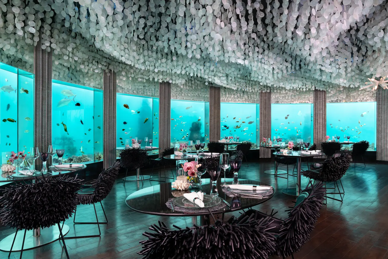 niyama private islands maldives subsix interior showcasing immersive underwater dining and refined contemporary island elegance